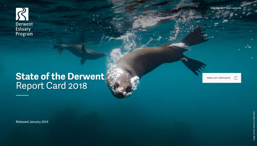 State of the Derwent Report Card 2018 website with gallery