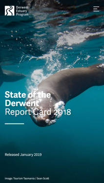 State of the Derwent Report Card 2018 mobile website