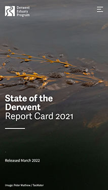 State of the Derwent Report Card 2021 phone view
