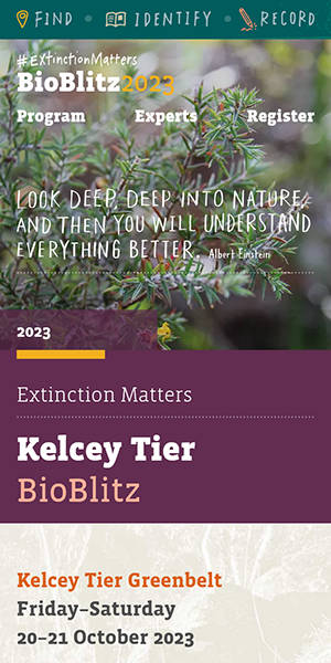 Extinction Matters BioBlitz phone view