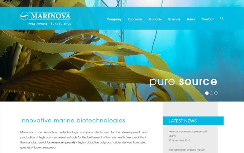 Website build for Marinova